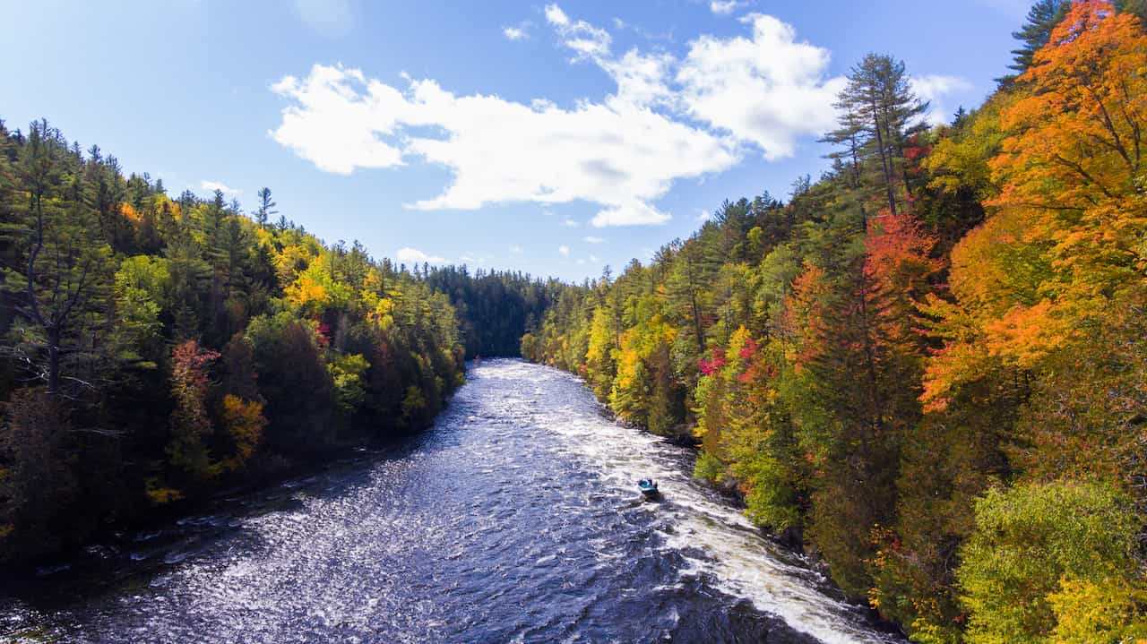 Dead River Fall Leaves